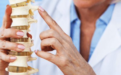 Prevenção e Tratamento da Osteoporose: o Guia Completo e Atualizado